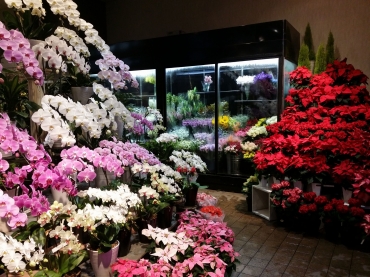 「紅白生花店」　（群馬県桐生市）の花屋店舗写真2